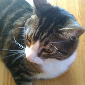 Meet your Posher, Darlene